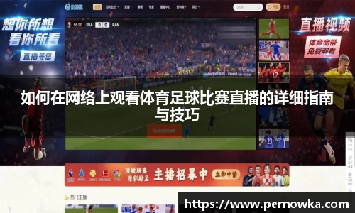 杏彩娱乐手机最新版本