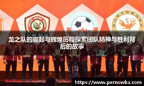 龙之队的崛起与辉煌历程探索团队精神与胜利背后的故事