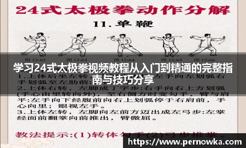 学习24式太极拳视频教程从入门到精通的完整指南与技巧分享