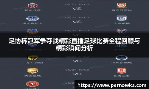 足协杯冠军争夺战精彩直播足球比赛全程回顾与精彩瞬间分析